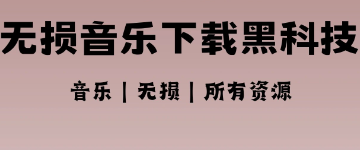 无损音乐下载器 封面