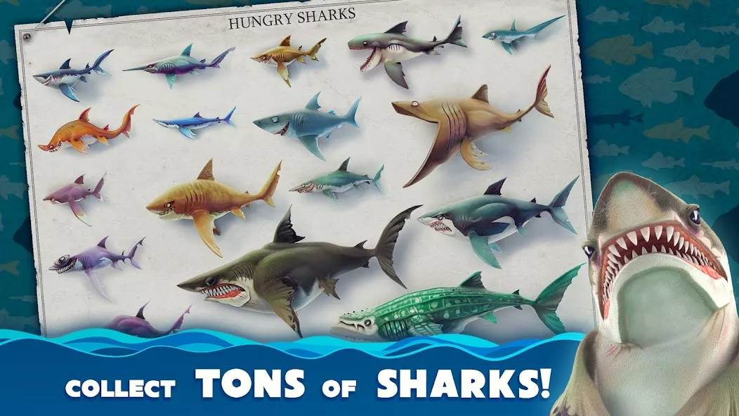 饥饿鲨：世界手机版（Hungry Shark World APK）中文版 截图 2